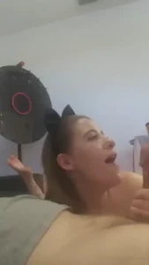 18160544