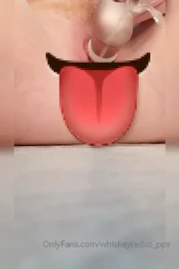 14445764