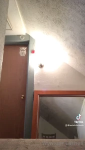 TheeeeHustler [ winterlashelldior ] Onlyfans leaked video 9817059 on Hotleaks.tv