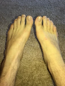 11740825
