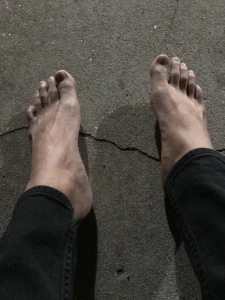 15456834