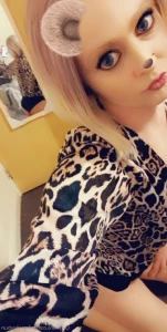 15028176