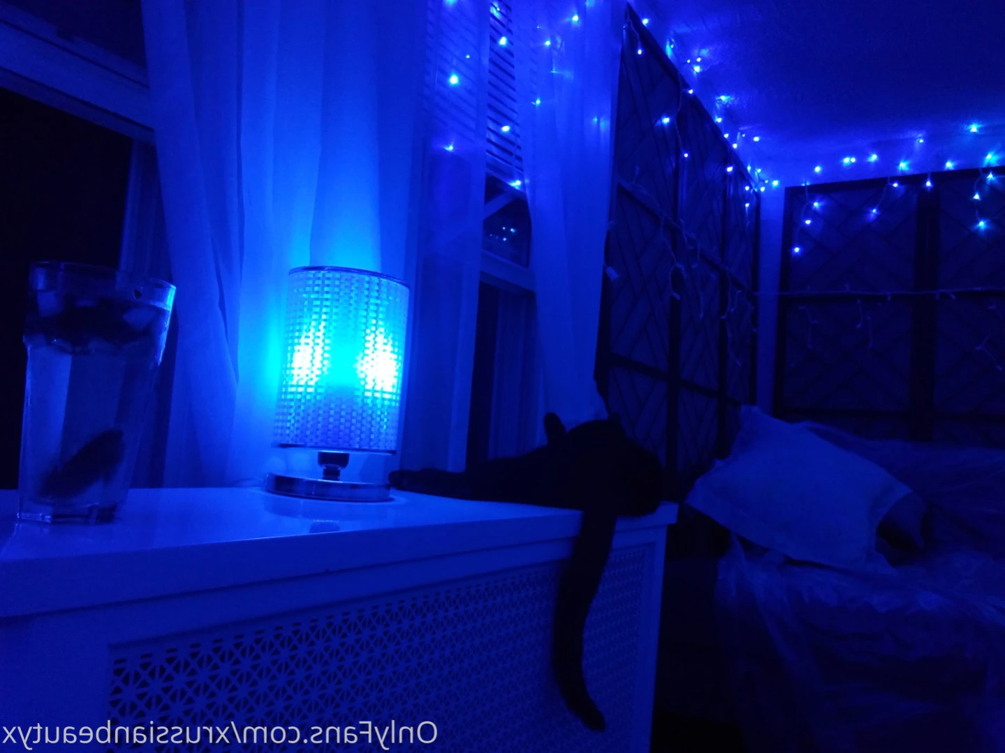 Madison Marz [ xrussianbeautyx ] Onlyfans leaked photo 16341372 on Hotleaks.tv