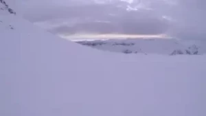 18159278