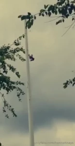 18158775