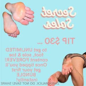 11703484