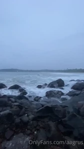9782491