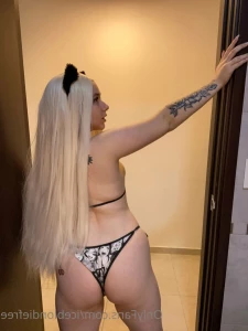 16247912