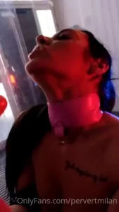 18156696