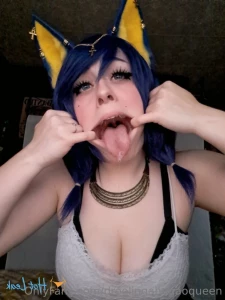 14116566