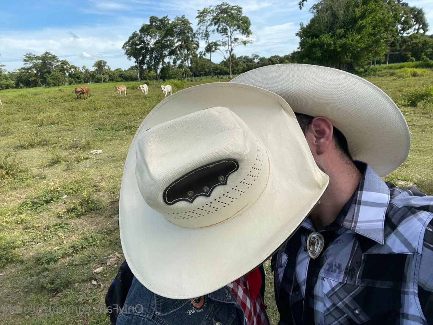 Rafa Torruco [ torrucorafa ] Onlyfans leaked photo 10872061 on Hotleaks.tv