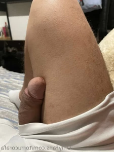 16342068