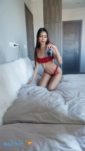15738932