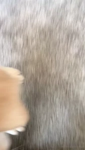 Melody Jai [ melodyjai ] Onlyfans leaked video 9538511 on Hotleaks.tv