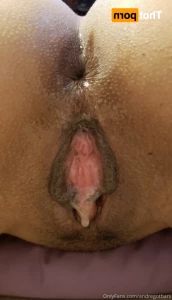 16258046