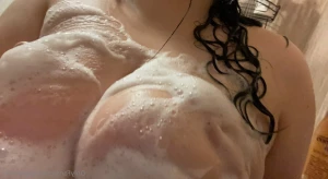 15817209