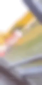 10731965