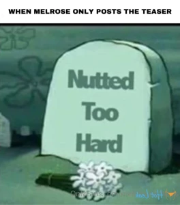 16312704
