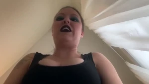 16087543