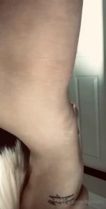 15680454
