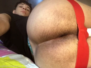 14660288