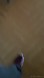 10829096