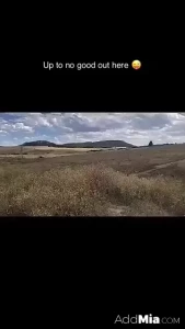 4783594
