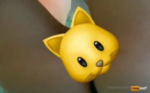 14873556