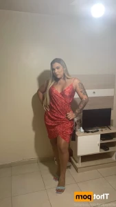 16210803