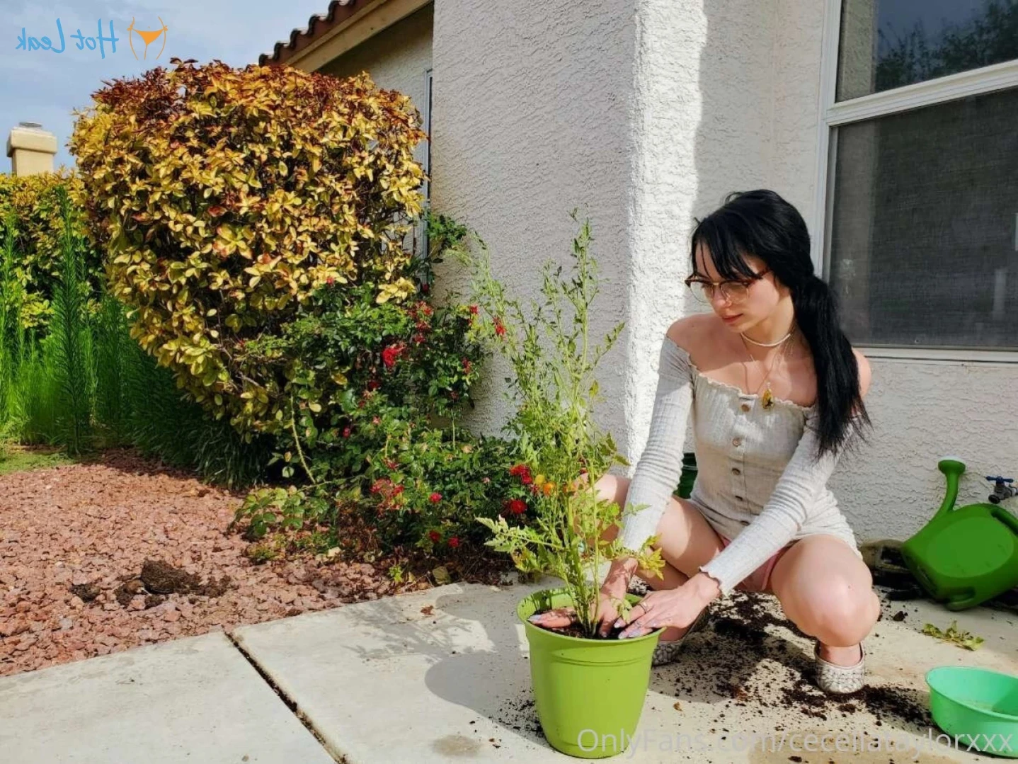 Cecelia Taylor ✨FREE✨ [ ceceliataylorxxx ] Onlyfans leaked photo 16074408 on Hotleaks.tv