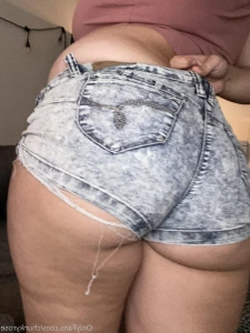 15690919