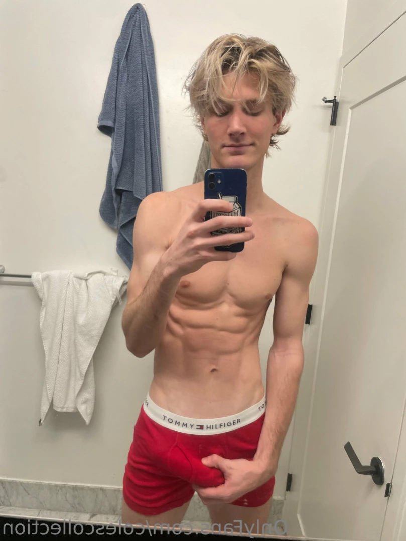 Cole [ colescollection ] Onlyfans leaked photo 12374394 on Hotleaks.tv