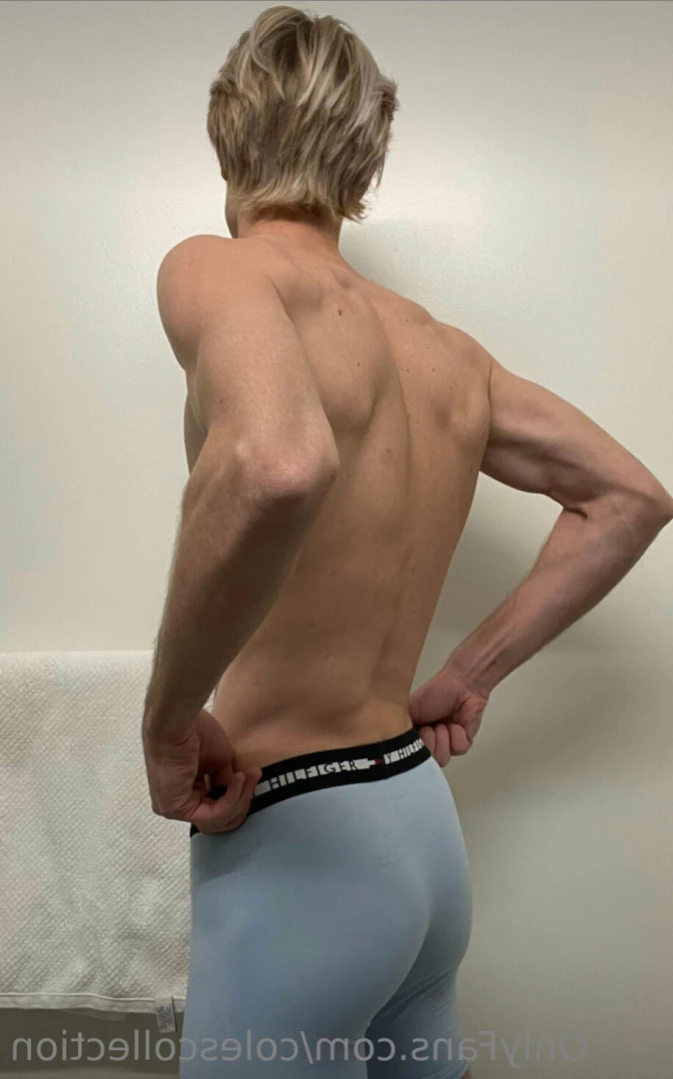 Cole [ colescollection ] Onlyfans leaked photo 12374456 on Hotleaks.tv
