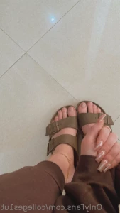 15552505