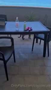 10827109