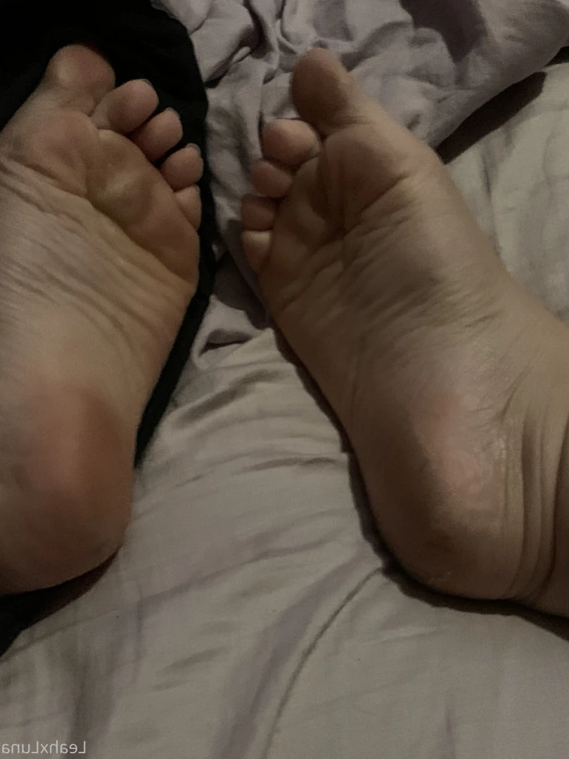 Alice ✨ [ lucipork ] Onlyfans leaked photo 16258143 on Hotleaks.tv
