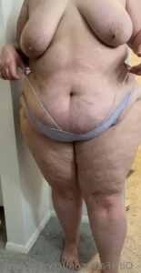 16147153