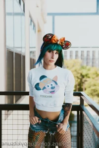 15551591