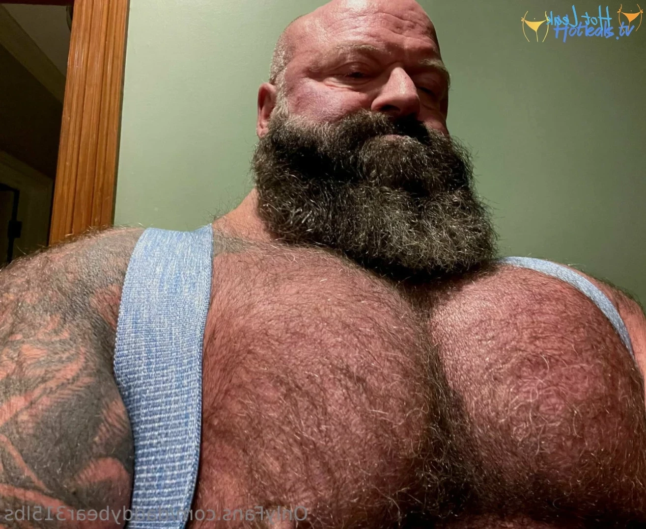315lbdaddybear [ daddybear315lbs ] Onlyfans leaked photo 11042301 on Hotleaks.tv