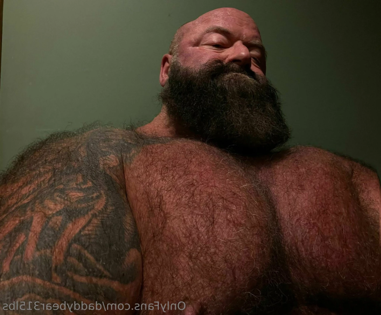 315lbdaddybear [ daddybear315lbs ] Onlyfans leaked photo 13946728 on Hotleaks.tv