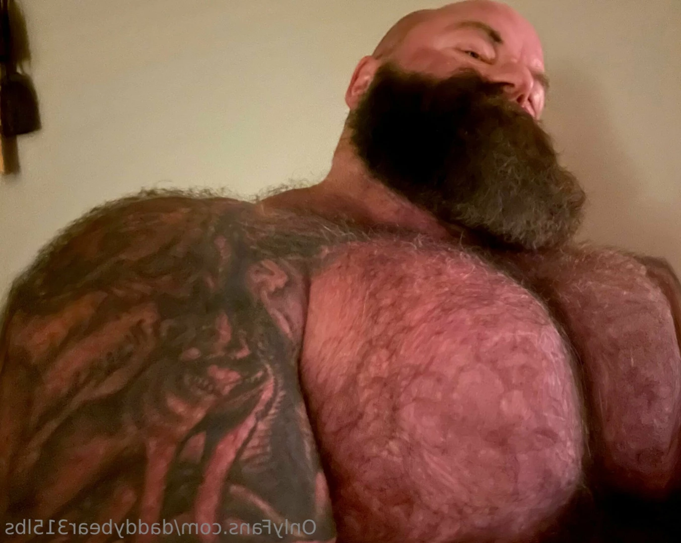 315lbdaddybear [ daddybear315lbs ] Onlyfans leaked photo 14116434 on Hotleaks.tv