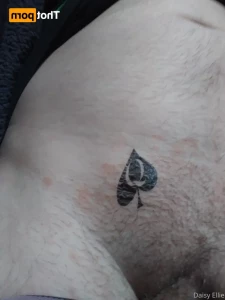 16507146