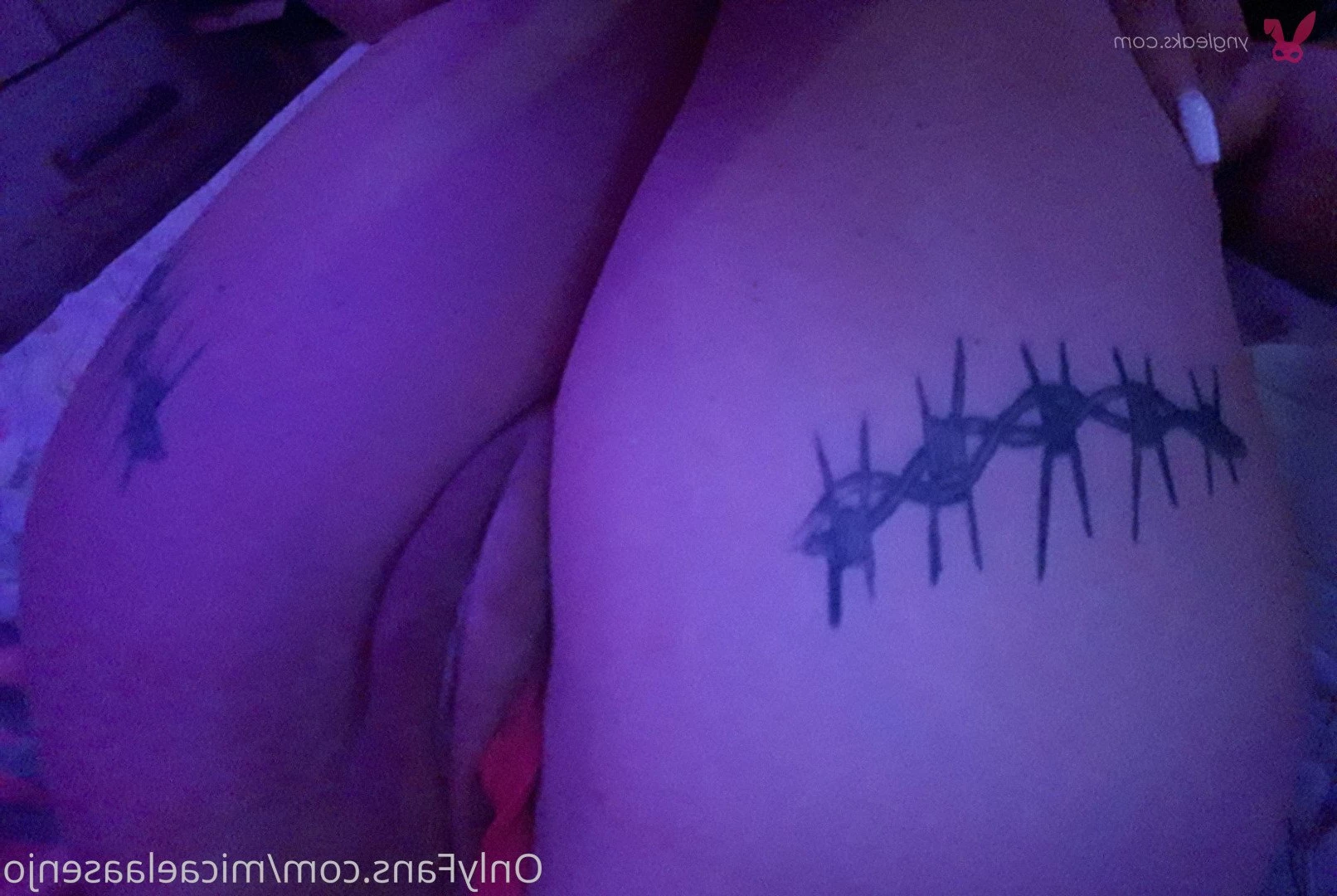 Micaela Asenjo [ micaelaasenjo ] Onlyfans leaked photo 795600 on Hotleaks.tv