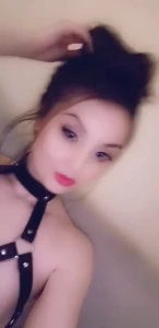 13635316