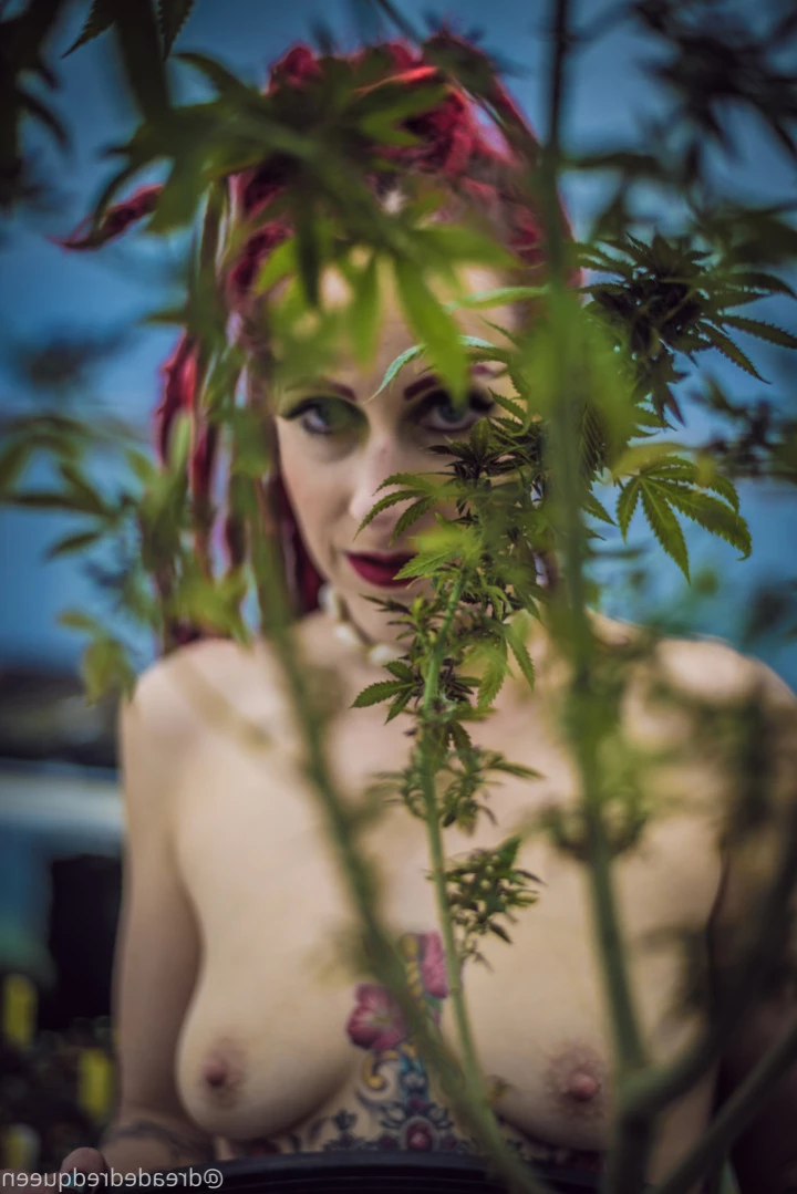 Persephone [ dreadedredqueen ] Onlyfans leaked photo 12575567 on Hotleaks.tv
