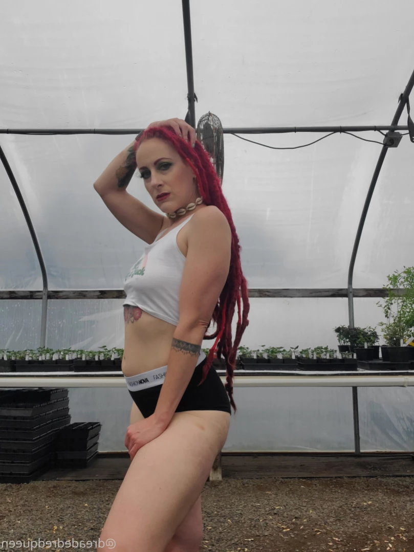 Persephone [ dreadedredqueen ] Onlyfans leaked photo 12636283 on Hotleaks.tv