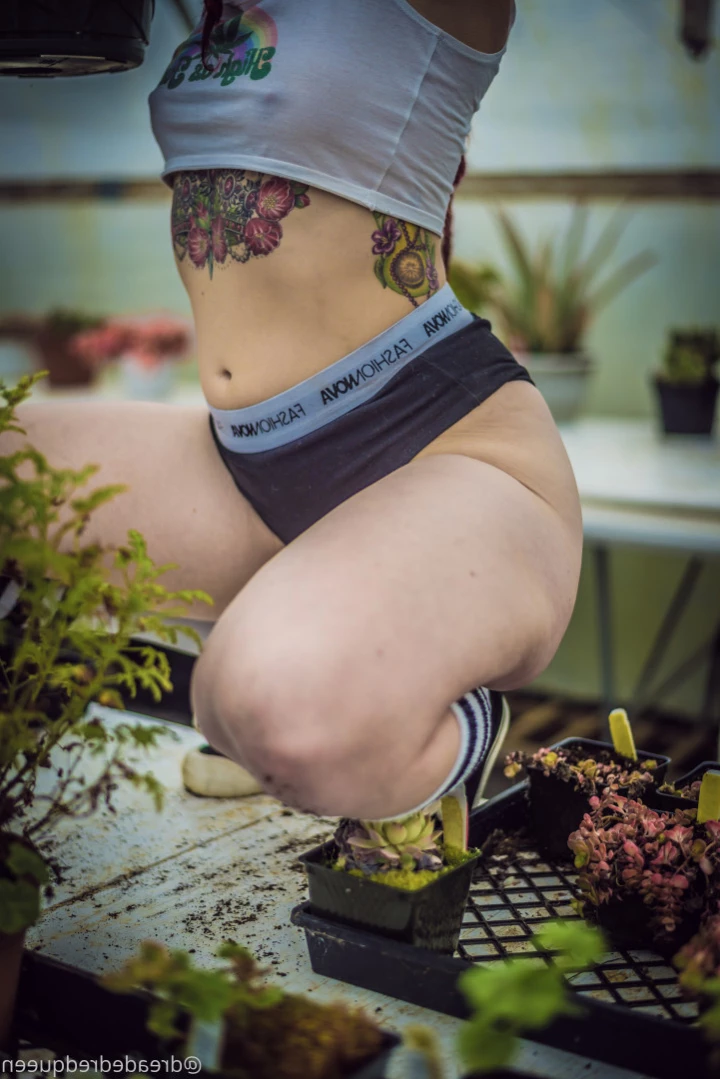 Persephone [ dreadedredqueen ] Onlyfans leaked photo 12786892 on Hotleaks.tv