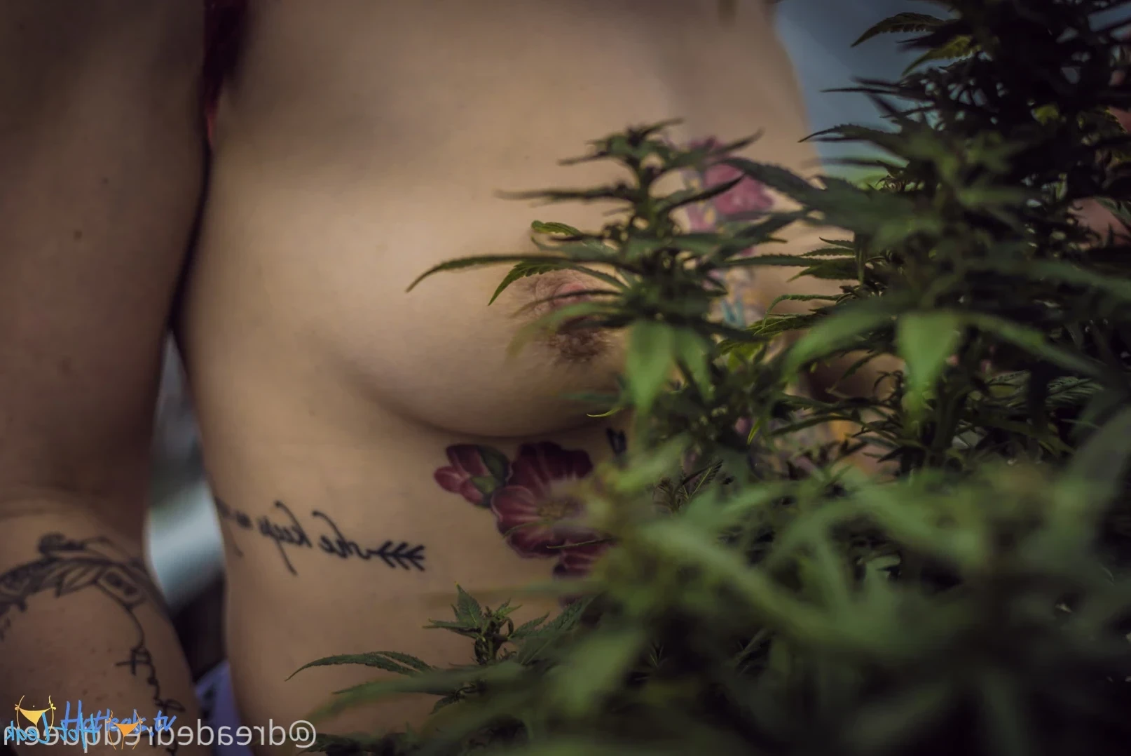 Persephone [ dreadedredqueen ] Onlyfans leaked photo 12893811 on Hotleaks.tv