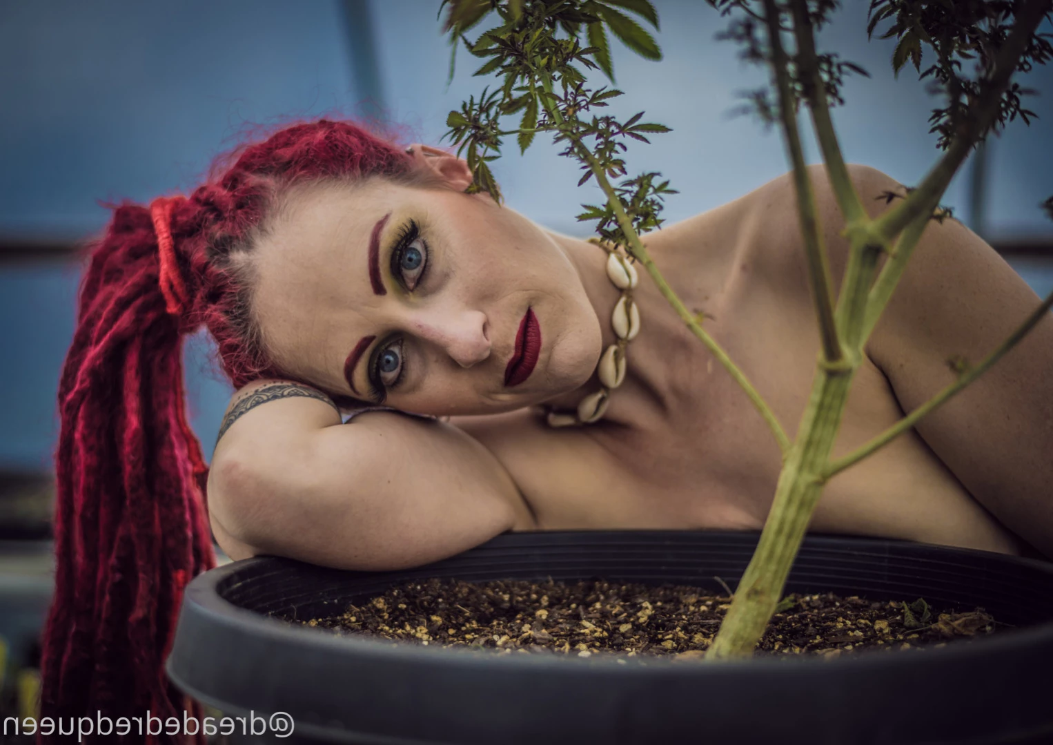 Persephone [ dreadedredqueen ] Onlyfans leaked photo 12901284 on Hotleaks.tv
