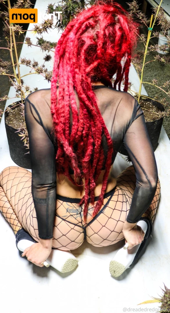 Persephone [ dreadedredqueen ] Onlyfans leaked photo 13047140 on Hotleaks.tv